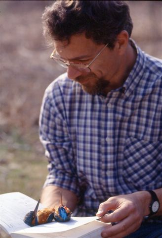 Giovanni Boano, sitting outdoors, examines a small bird with orange and blue plumage perched on an open book