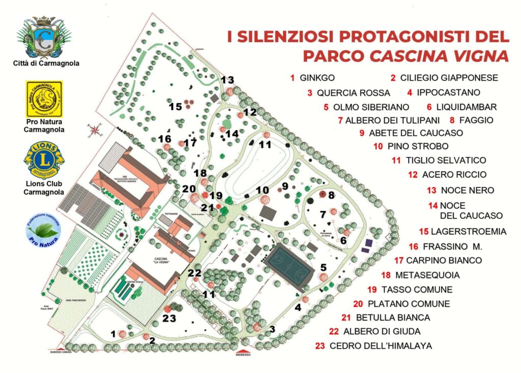 Map of Cascina Vigna Park with the 23 trees of the botanical trail numbered